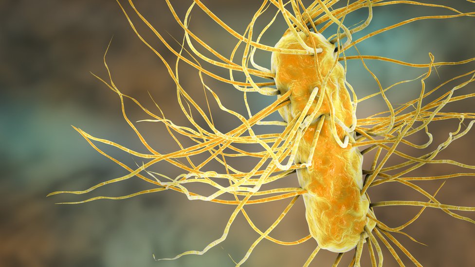 Científicos en alerta por una ameba devoradora de cerebros cada vez más frecuente en el agua