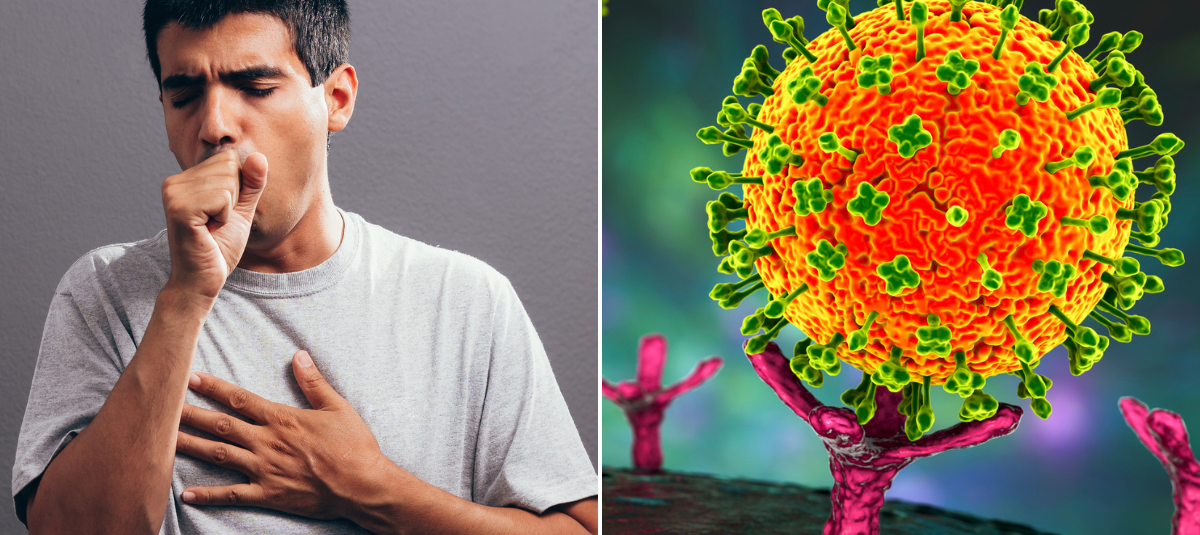 ¿Cómo prevenir el virus Nipah? Medidas clave para protegerse del contagio que enciende alarmas en Asia