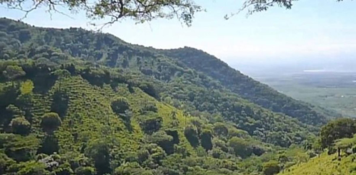 Ambientalista: medida de Energía y Minas sobre cordillera Septentrional fue un acto de justicia