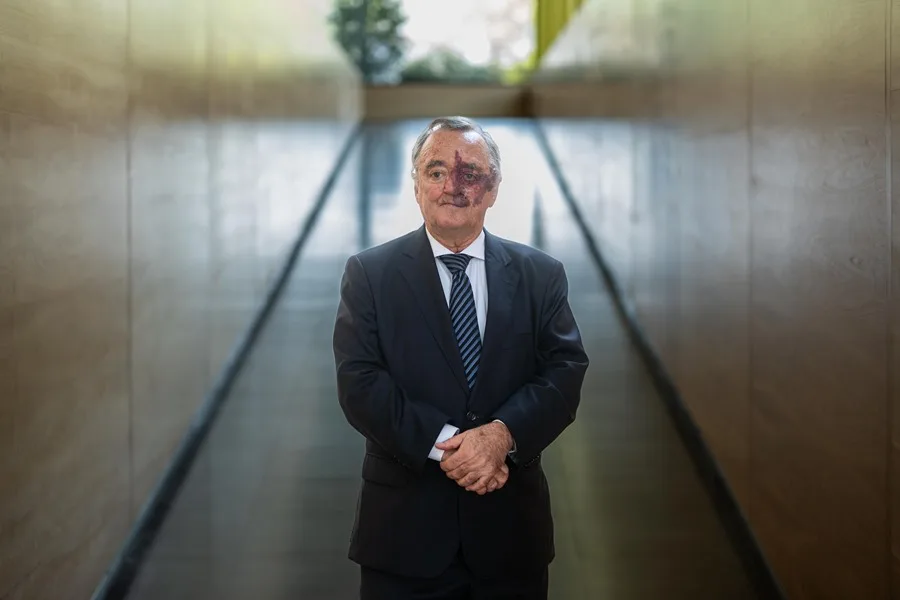 Investigadores del CNIO eliminan, por primera vez, el cáncer de páncreas en ratones