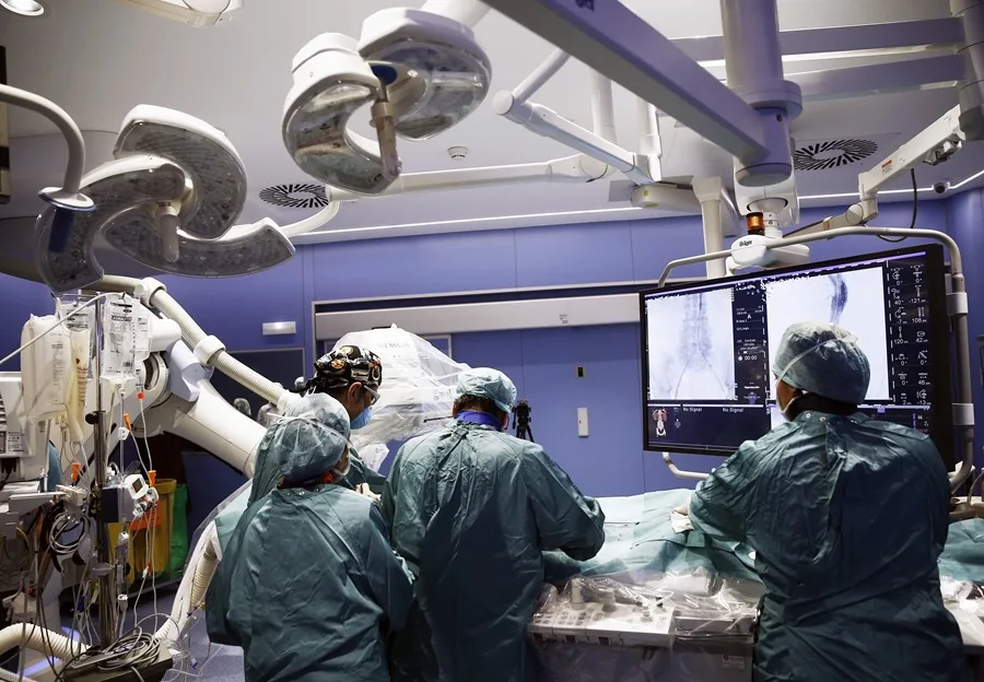 La nueva etapa de la investigación de los trasplantes de órganos de cerdos transgénicos