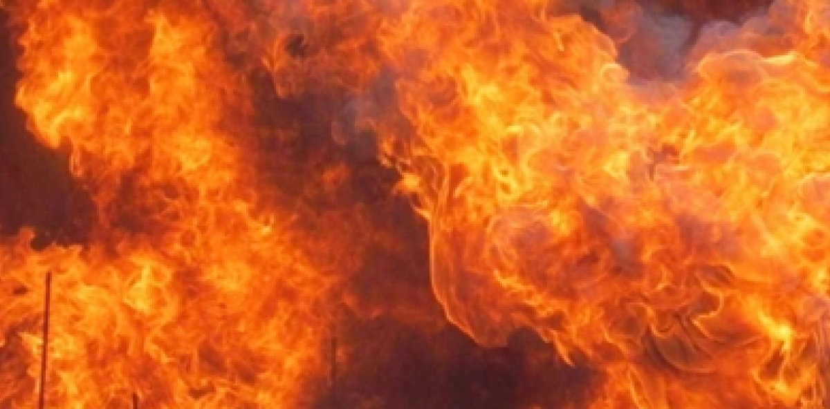 Inacif dice quemó 470 kilos de drogas