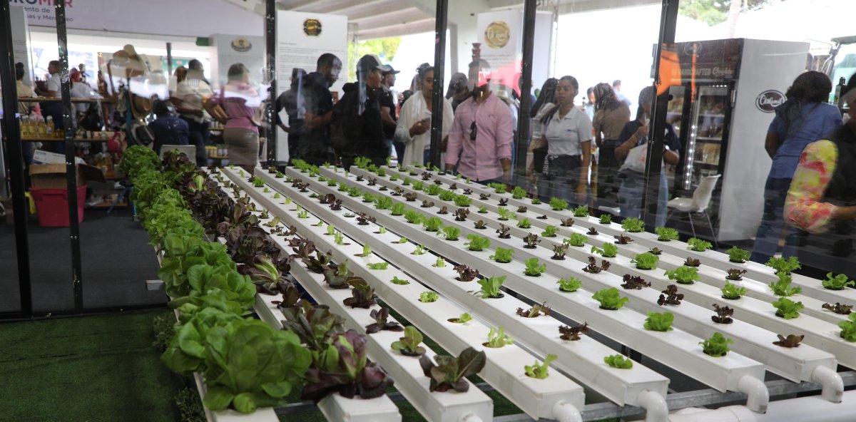 Luis Abinader proyecta al campo hacia el futuro con apertura de 38 Feria Agropecuaria Nacional 2026