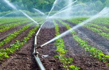 Productores agrícolas región sur podrán acceder a fondos para sus sistemas de riego