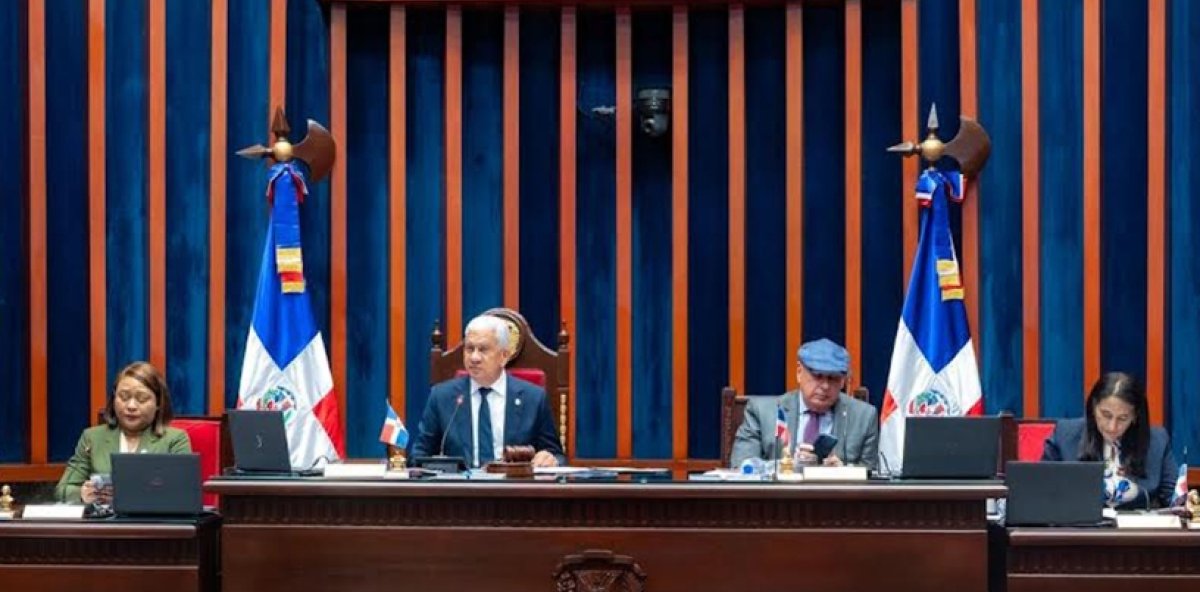 Senado vota proyecto crea Sistema Nacional Cuidados