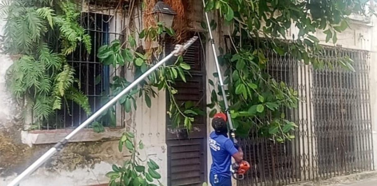 Mantienen poda y limpieza preventiva para mitigar posibles efectos de lluvias