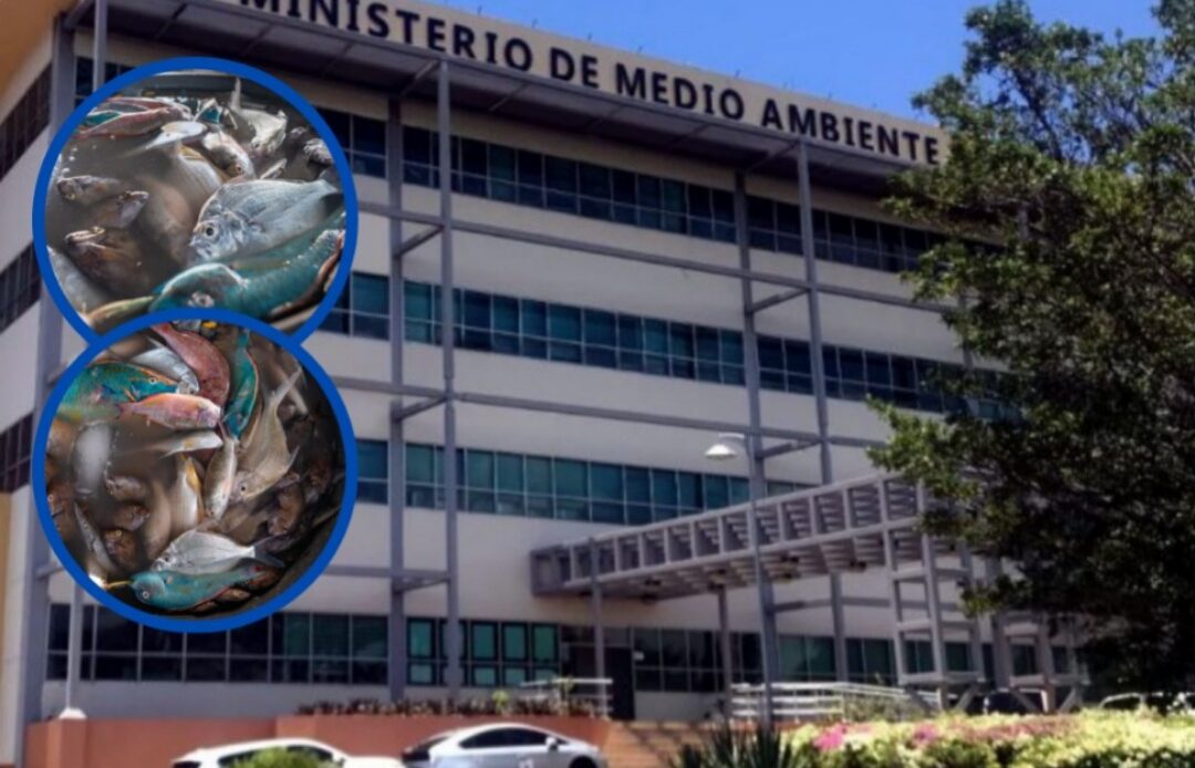 Medio Ambiente refuerza llamado a respetar vedas durante Semana Santa para proteger la biodiversidad marina