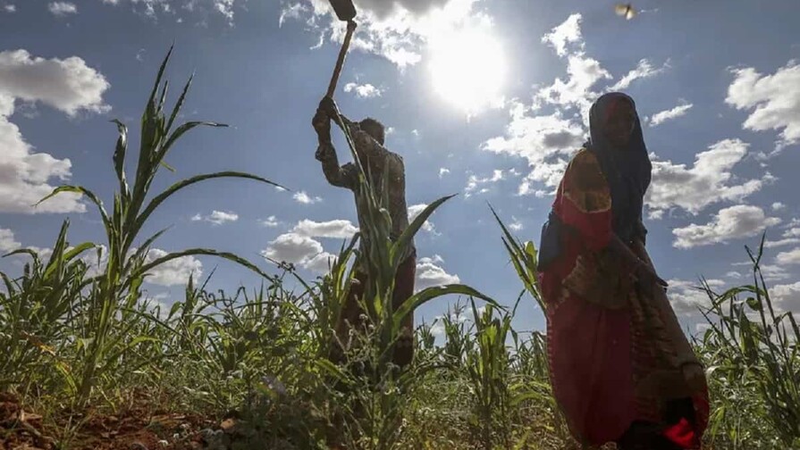 La ONU alerta de que al menos dos millones de somalíes sufren «hambre aguda» por la sequía