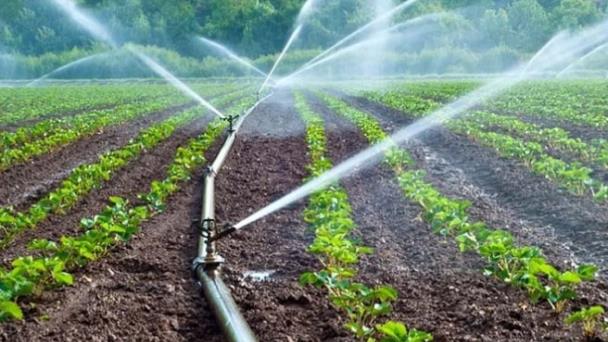 Logros, metas y desafíos del riego tecnificado en República Dominicana
