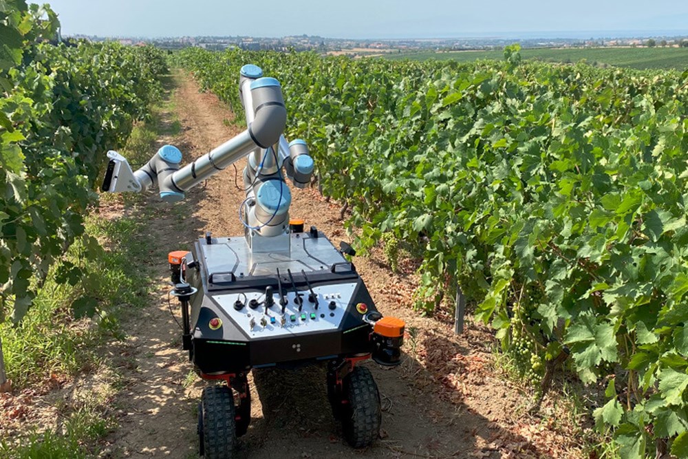 Menos carga, más cosecha: así ayudan los robots a los agricultores
