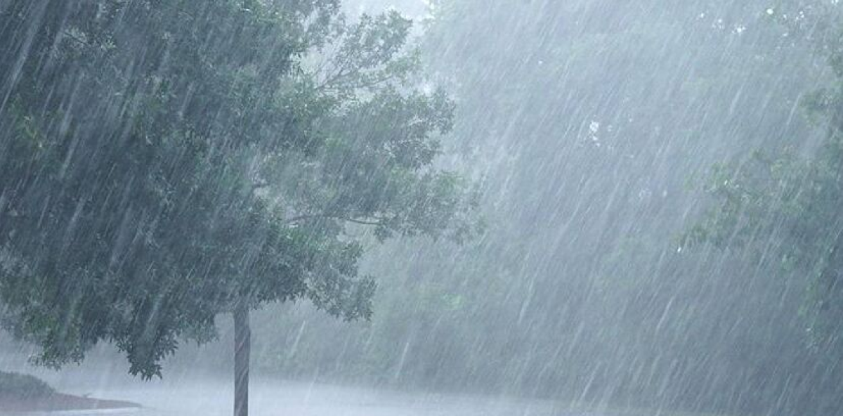 Lluvia demora encuentro de Softbol entre República Dominicana y México
