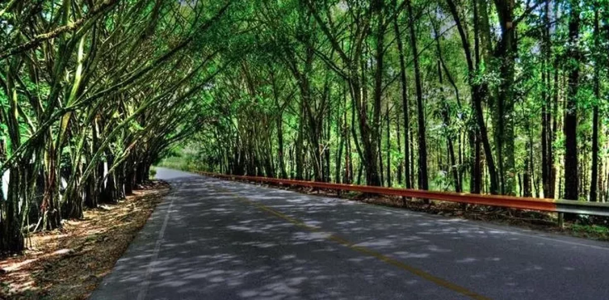 MOPC anuncia desvío temporal este sábado en la entrada a Jarabacoa