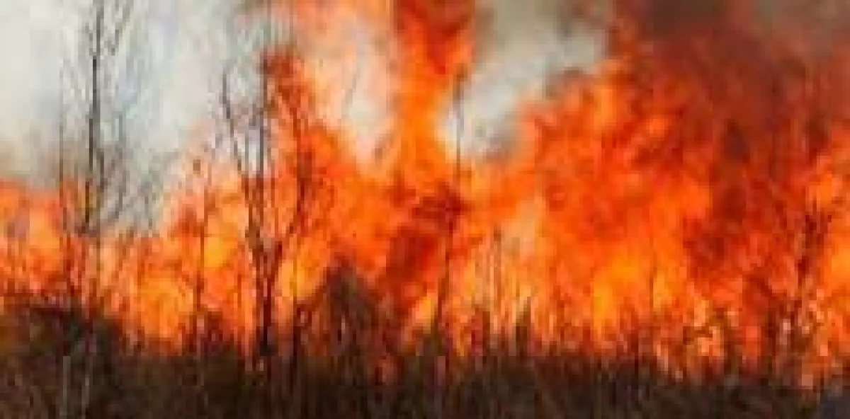 Incendio forestal avanza en la Sierra de Bahoruco y cubre de humo a Pedernales